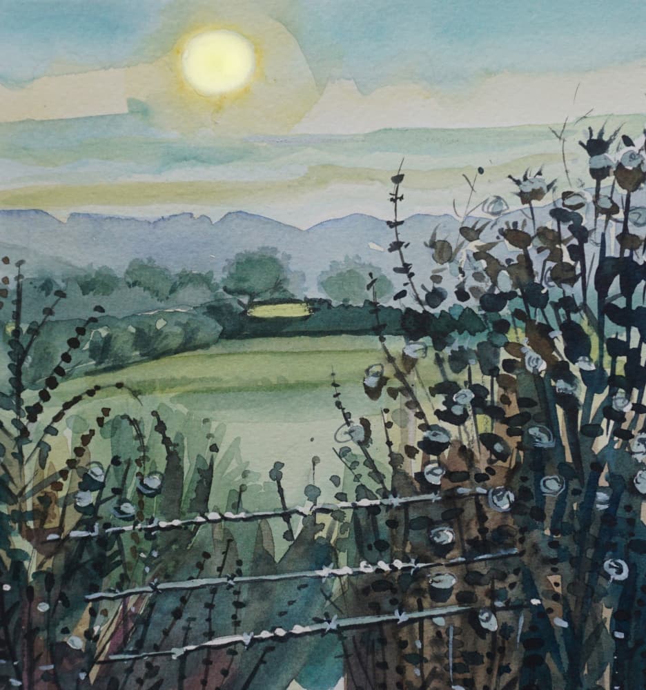 Sunlit Countryside Field by Luisa Millicent — canvas wall art