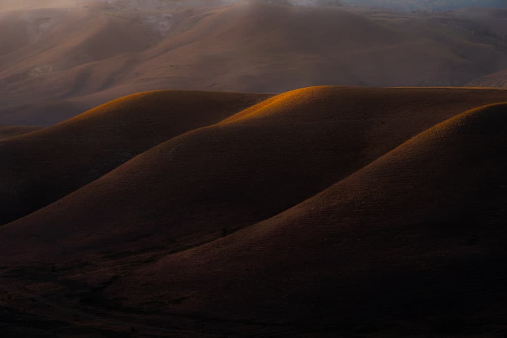 Golden Rolling Hills by Arsen Alaberdov — canvas wall art