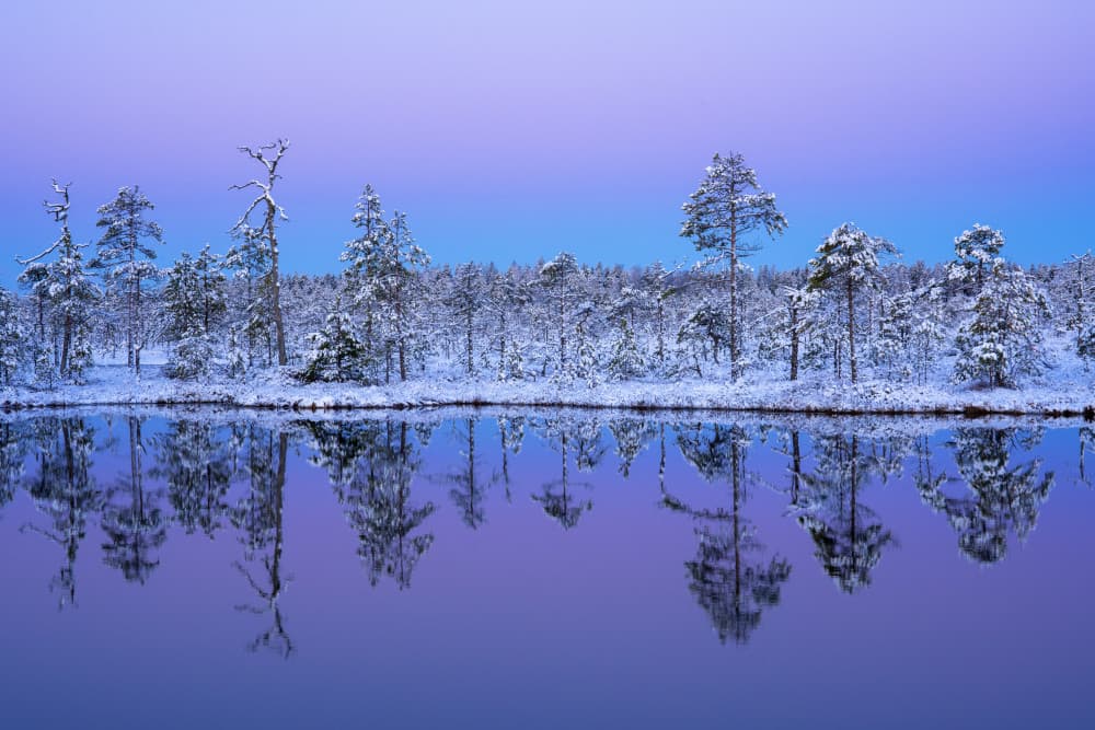 Purple Winter Lake Reflection by Alexey Kharitonov — canvas wall art