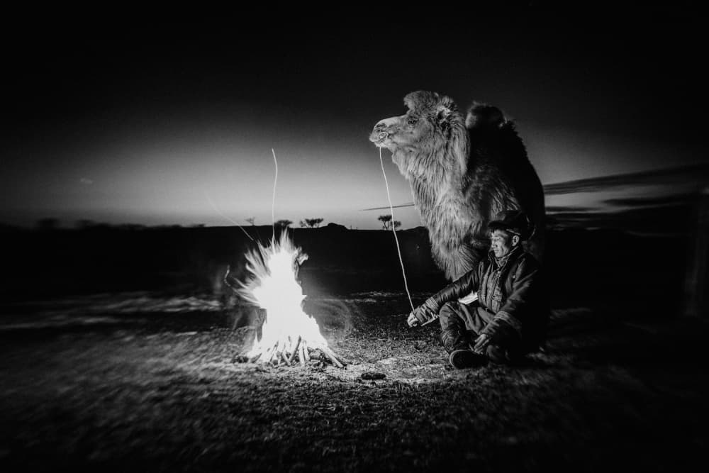 Desert Campfire Companions by ADIREK M — canvas wall art