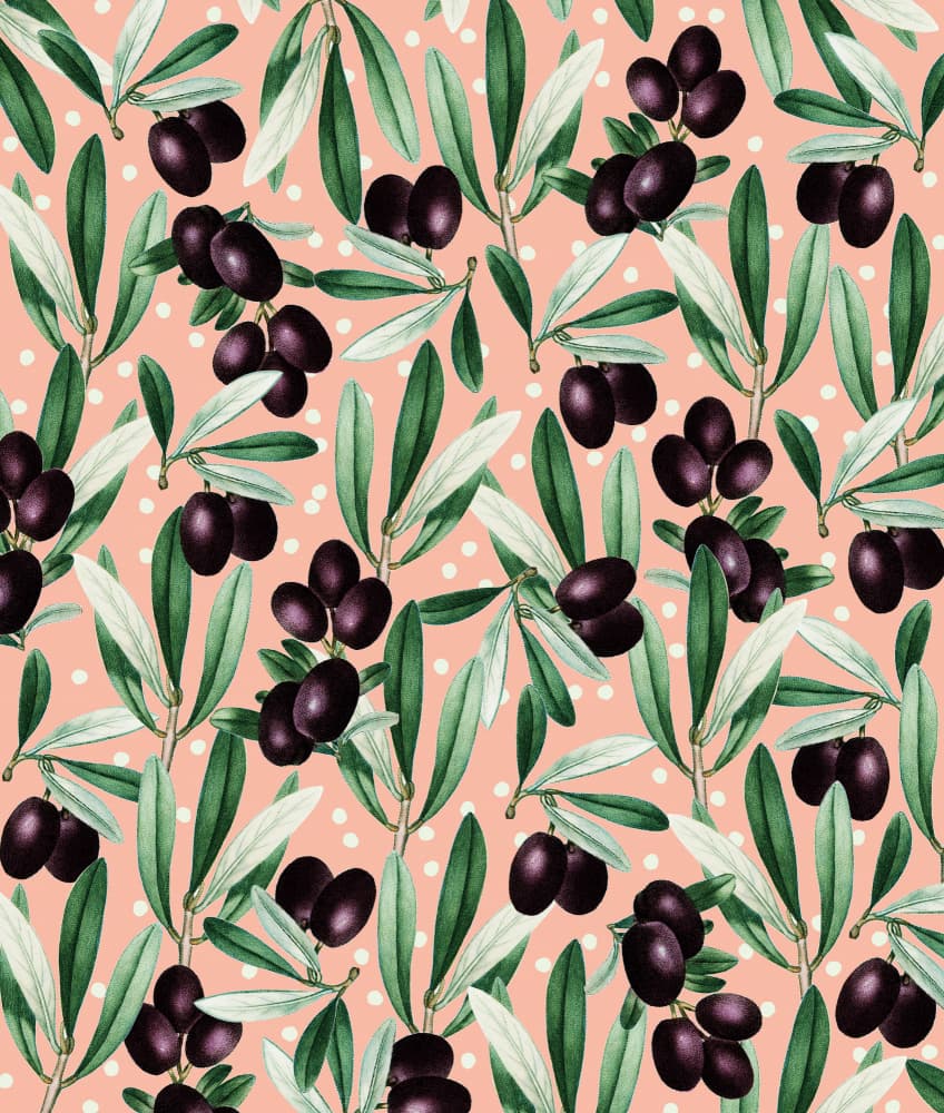 Watercolor Olive Branches by Uma Gokhale — canvas wall art