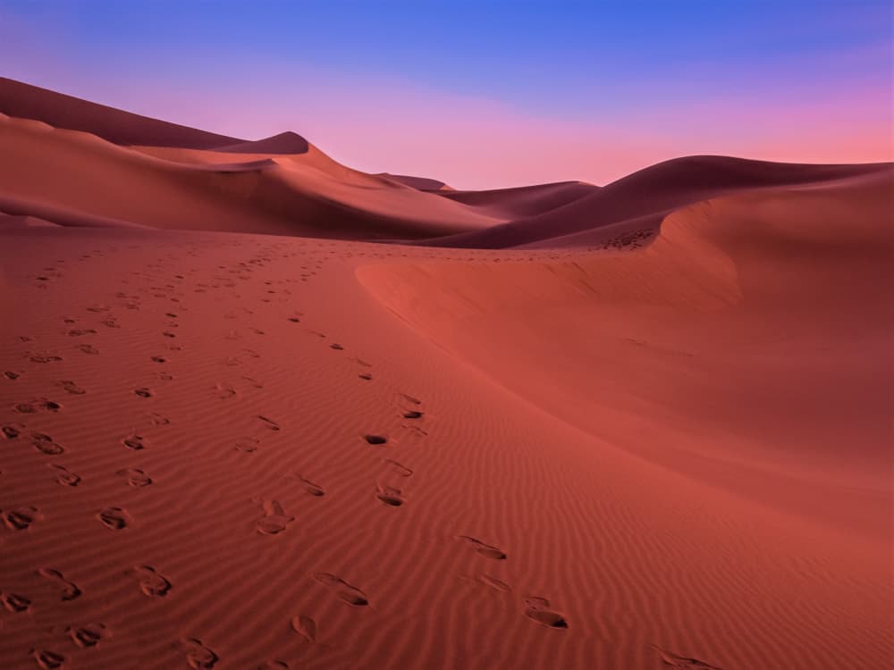 Sunrise Desert Trails by Miroslaw Prybinski — canvas wall art