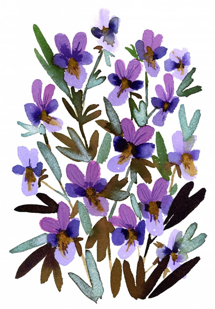 Watercolor Purple Blooms