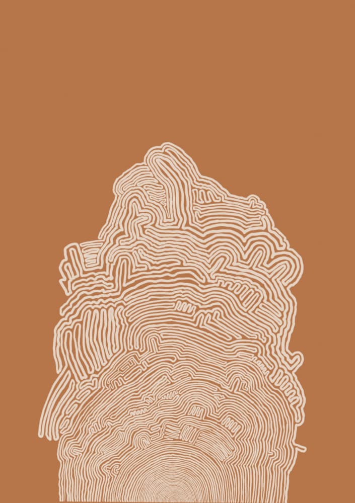 Earthy Contour Lines by Sharyn Bursic — canvas wall art