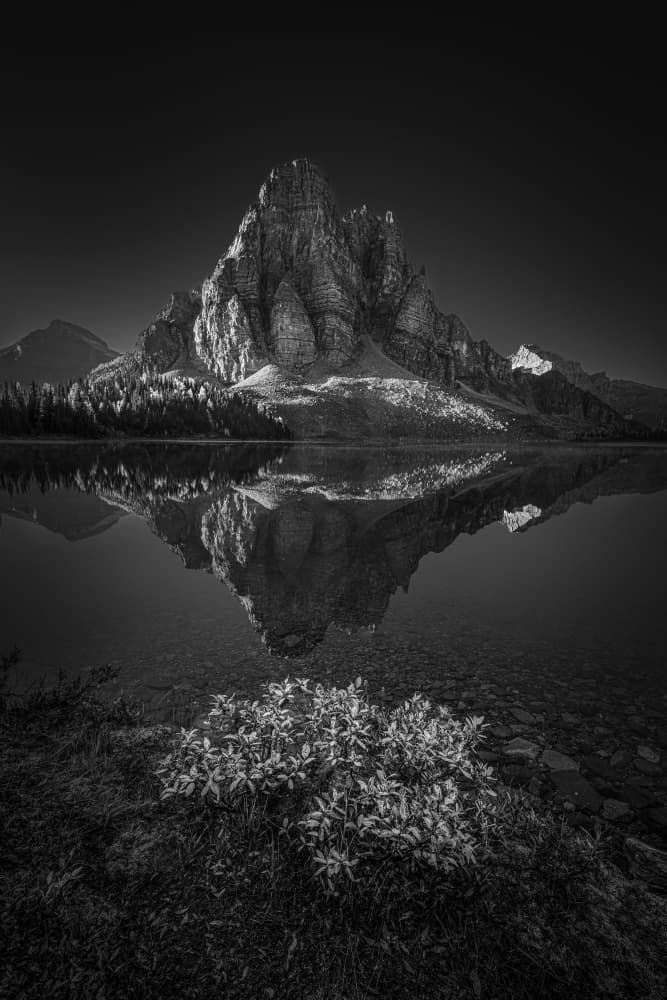 Majestic Peak Reflection by Tony Xu — canvas wall art