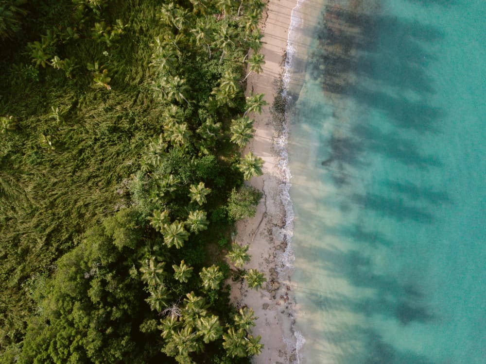 Green Beach from Above 2 by Raisa Zwart — canvas wall art