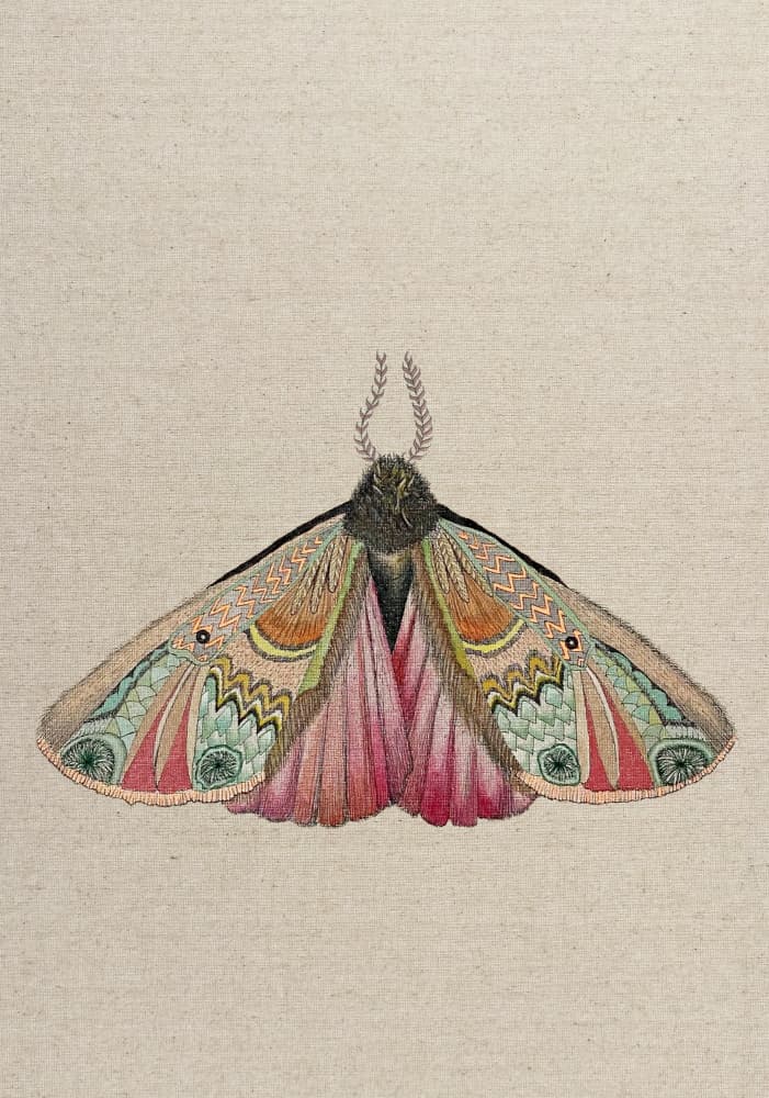 Colorful Intricate Moth by ZAM.ROD — canvas wall art