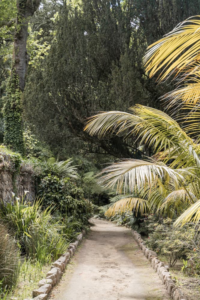 Lush Garden Path by Henrike Schenk — canvas wall art