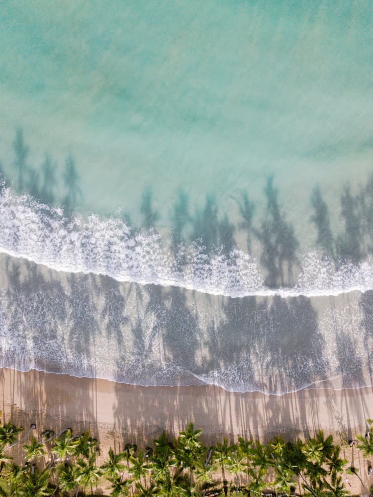 To the Beach by Raisa Zwart — canvas wall art