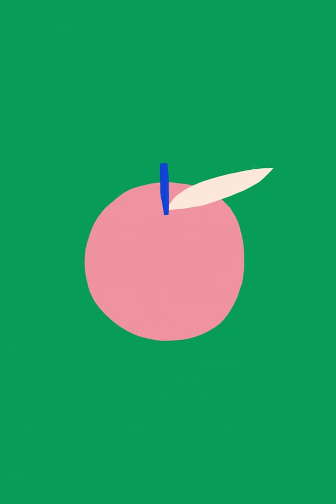Minimalist Pink Apple by Maren Gross — canvas wall art