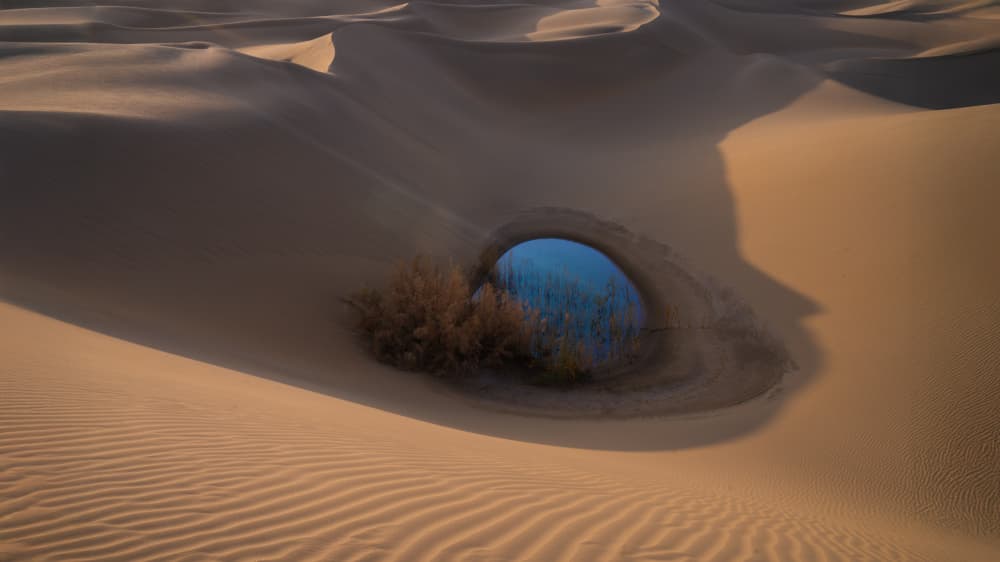 Blue Desert Oasis by tianhuayu — canvas wall art