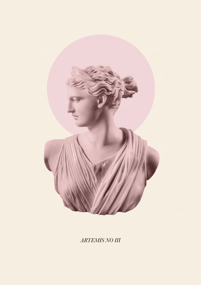 Artemis Pink Bust by Talitha McQueen — canvas wall art