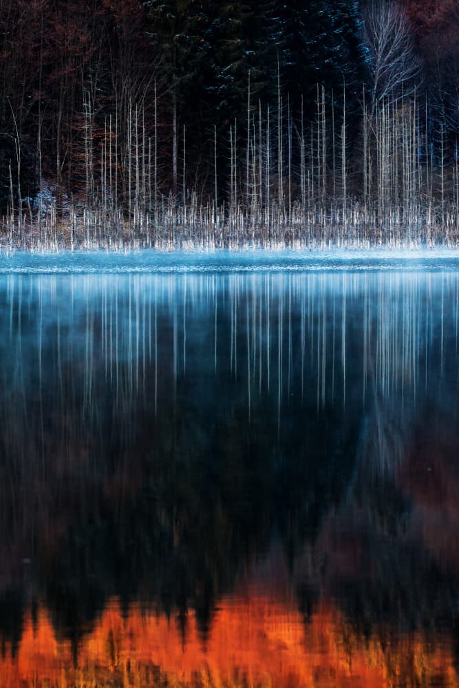 Misty Winter Lake Reflection by Dan Mirica — canvas wall art