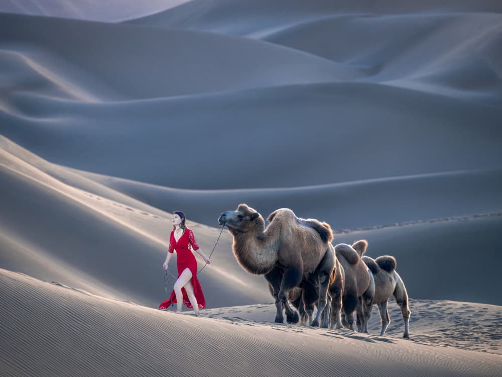Red Dress Desert Journey by Cai ning — canvas wall art