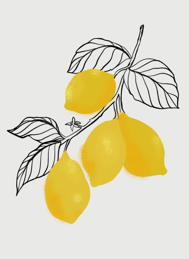 Yellow Lemon Branch by Rosana Laiz Blursbyai — canvas wall art