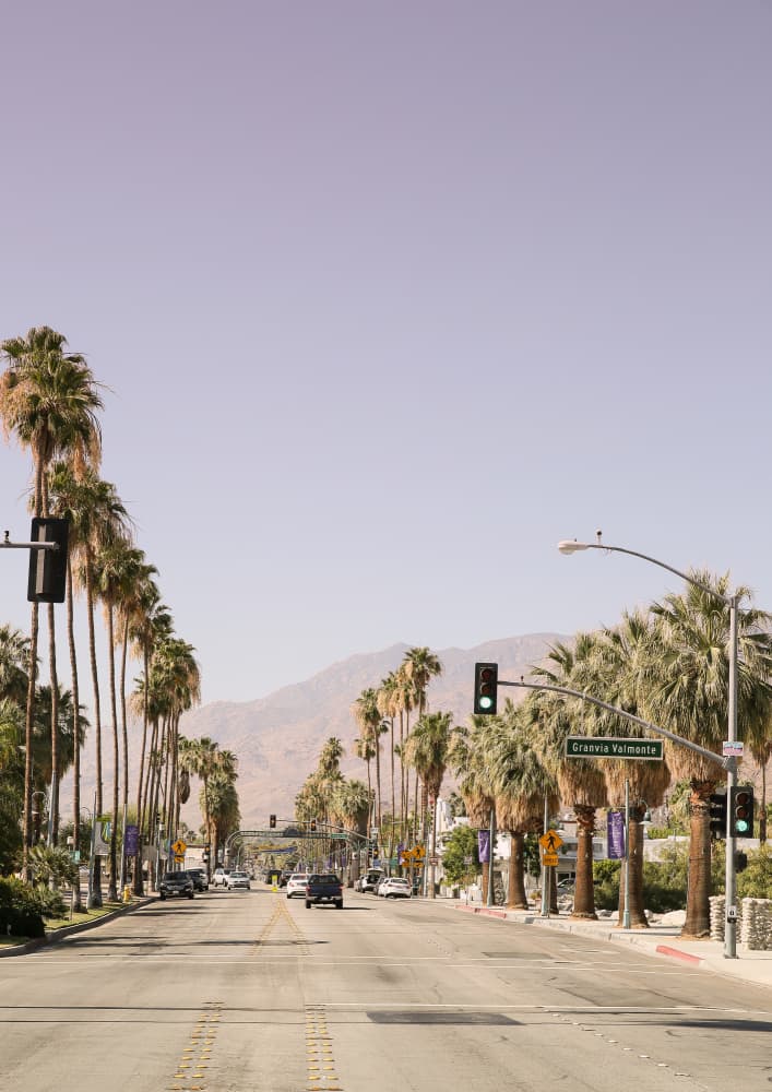 Palm-Lined Avenue by Shot by Clint — canvas wall art