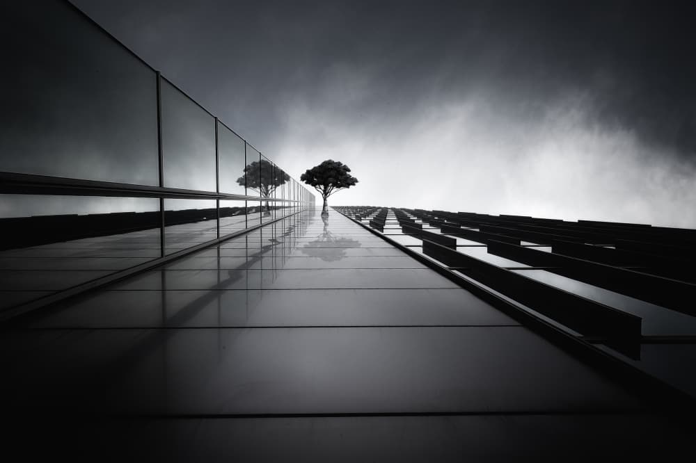 Modern Tree Reflections by Akira TAKAUE — canvas wall art