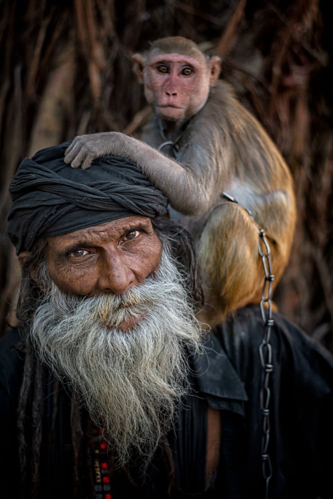 Wise Man and Monkey by Vivek Kalla — canvas wall art