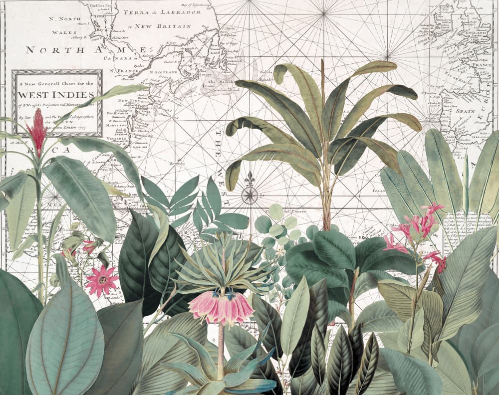 Vintage Map Botanicals by Andrea Haase — canvas wall art