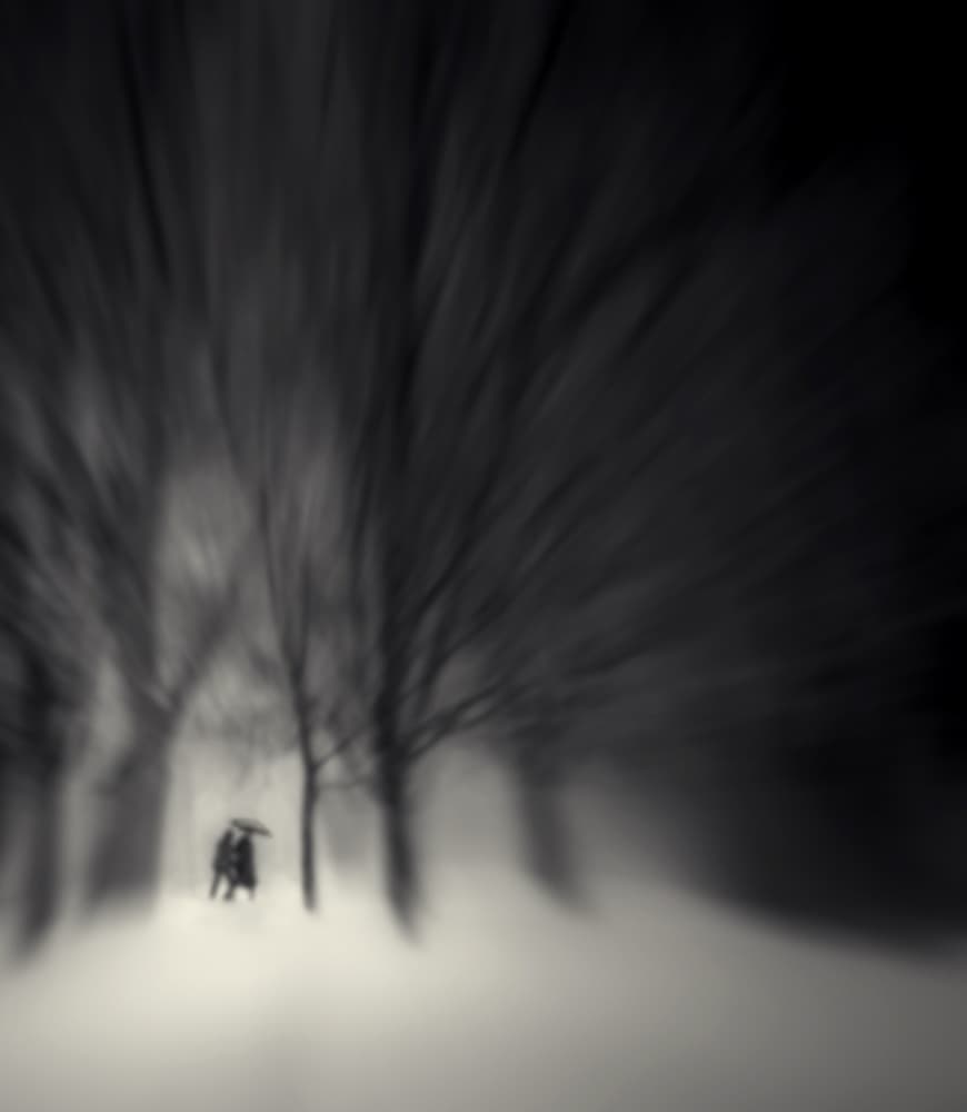Snowy Path Romance by David Senechal Photographie (polydactyle) — canvas wall art
