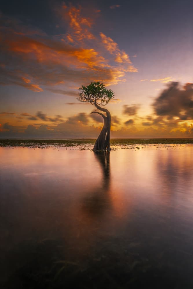 The Solitary Dance by Ling Jiang — canvas wall art