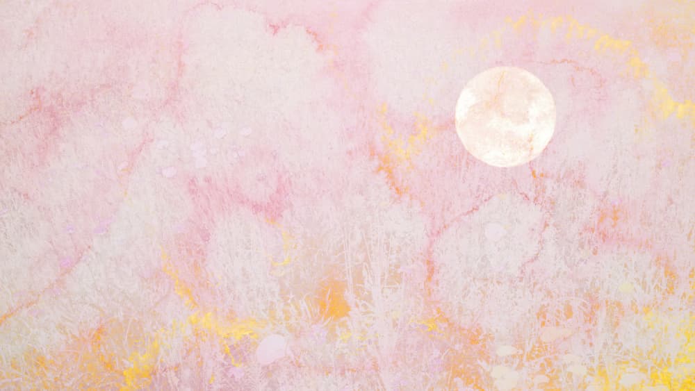 Golden Pink Moon by Miriam Stayte — canvas wall art