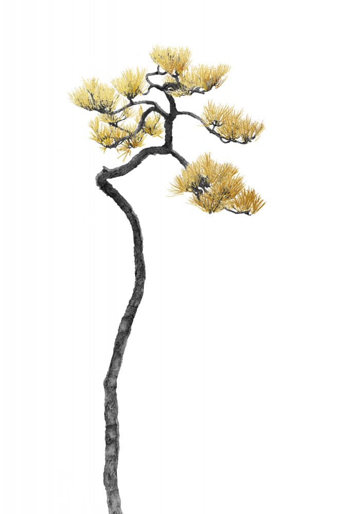 Golden Pine Tree by amini54 — canvas wall art