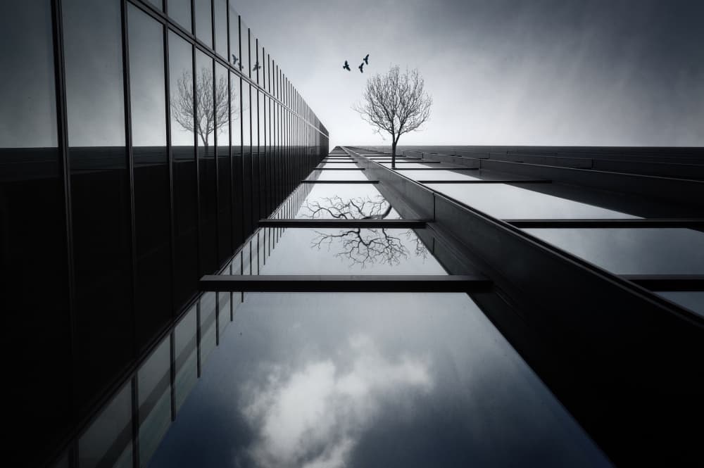 Bare Tree Reflections by Akira TAKAUE — canvas wall art