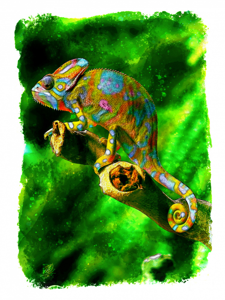 Vibrant Jungle Chameleon by Osvaldo Russo — canvas wall art