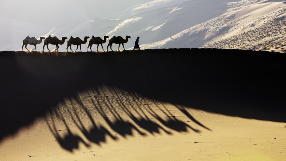 Desert Camel Caravan by Shin Woo Ryu — canvas wall art