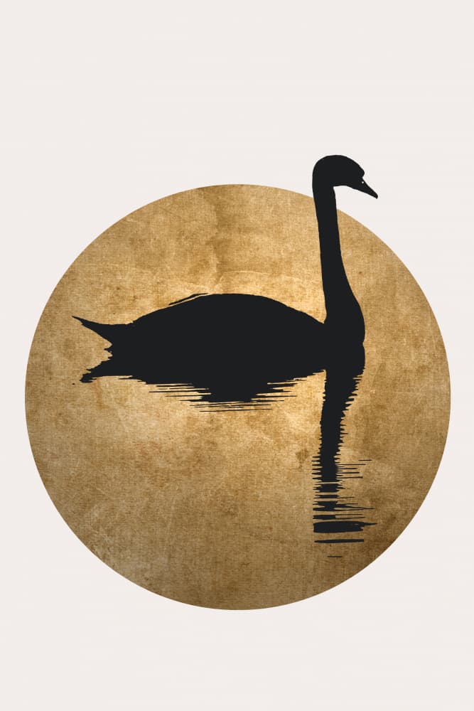 The Swan Gold by Kubistika — canvas wall art