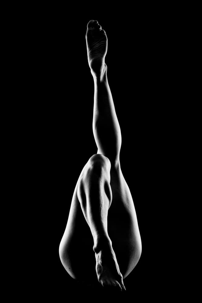 Graceful Leg Forms by Gorazd Golob — canvas wall art