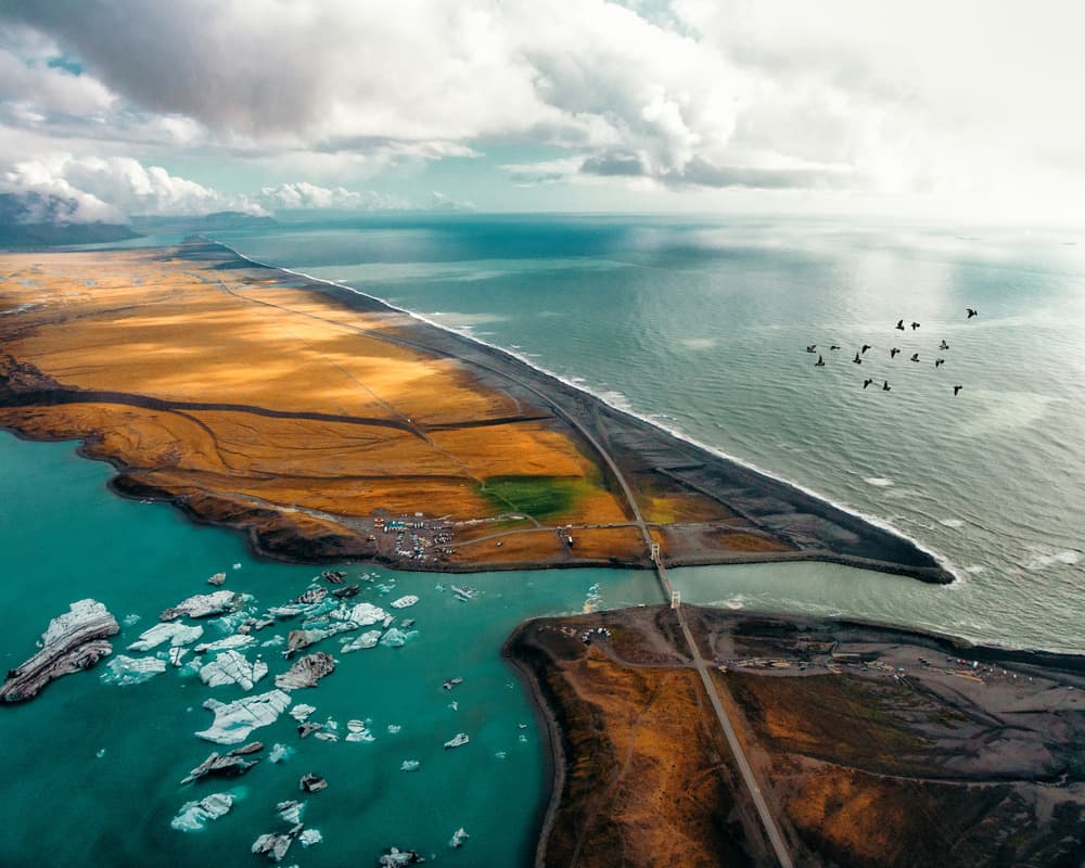 Glacier Lagoon Birds by Sam Green — canvas wall art