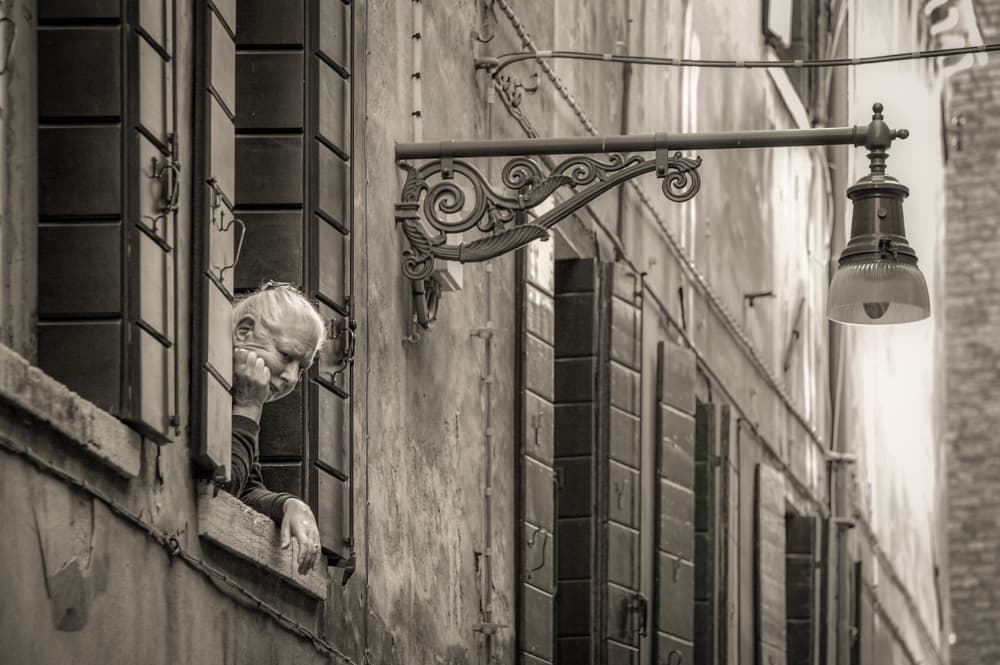 Quiet Window Watcher by Stephan Rückert — canvas wall art