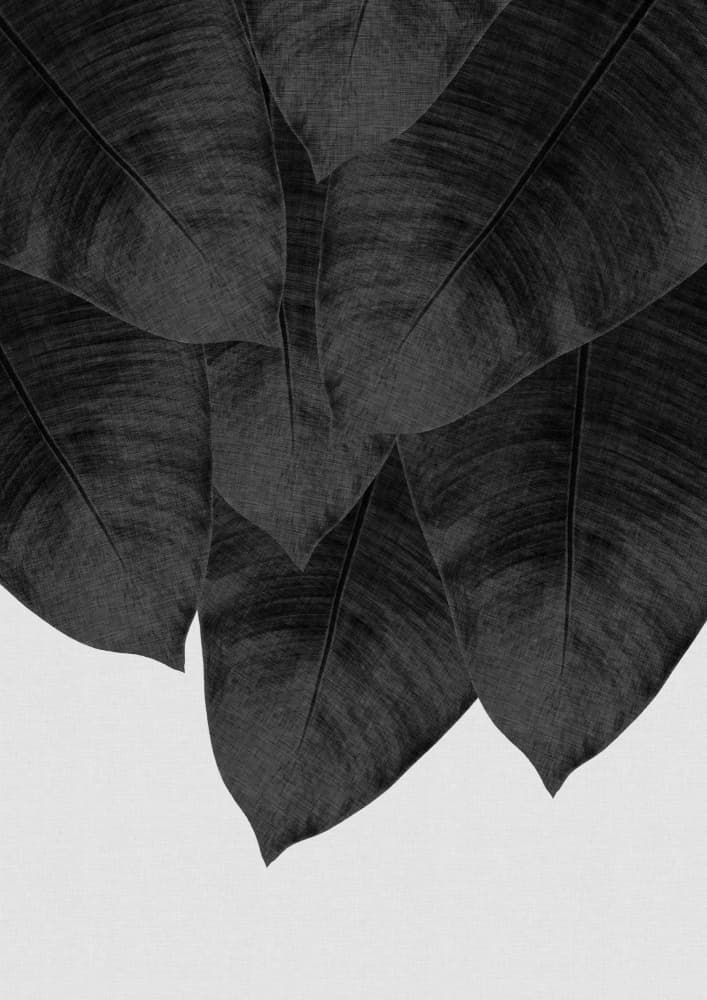 Dark Tropical Leaves by Orara Studio — canvas wall art