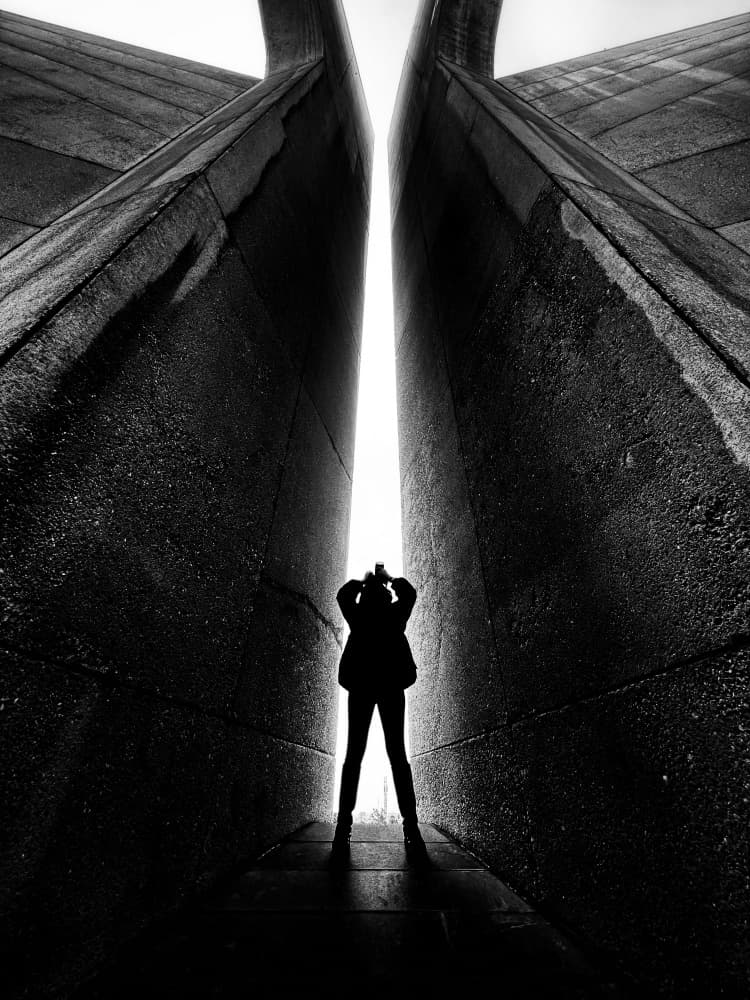 Into The Light by AMIR ALI NAVADEH SHAHLA — canvas wall art
