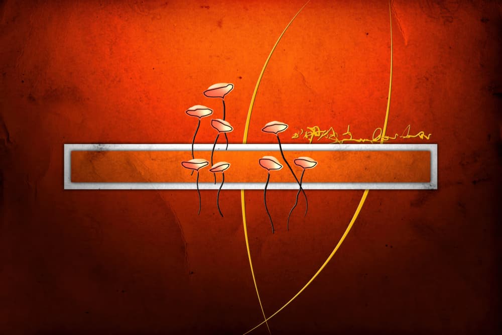 Warm Organic Forms by Rafal Kulik — canvas wall art