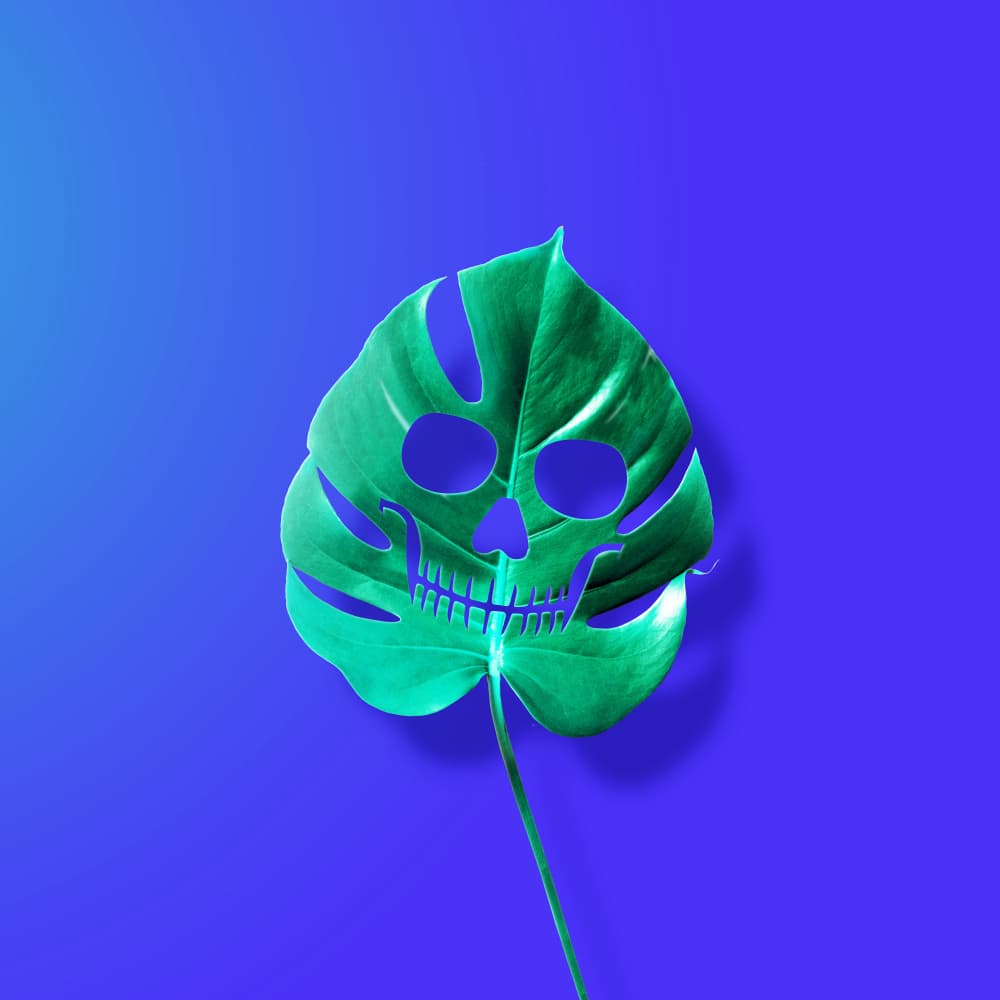 Vibrant Skull Leaf by Artem Pozdniakov — canvas wall art