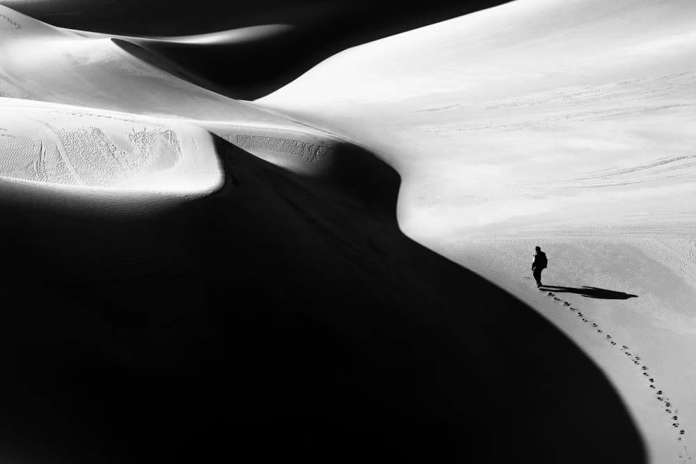 Solitary Dune Walker by Hamid Jamshidian — canvas wall art