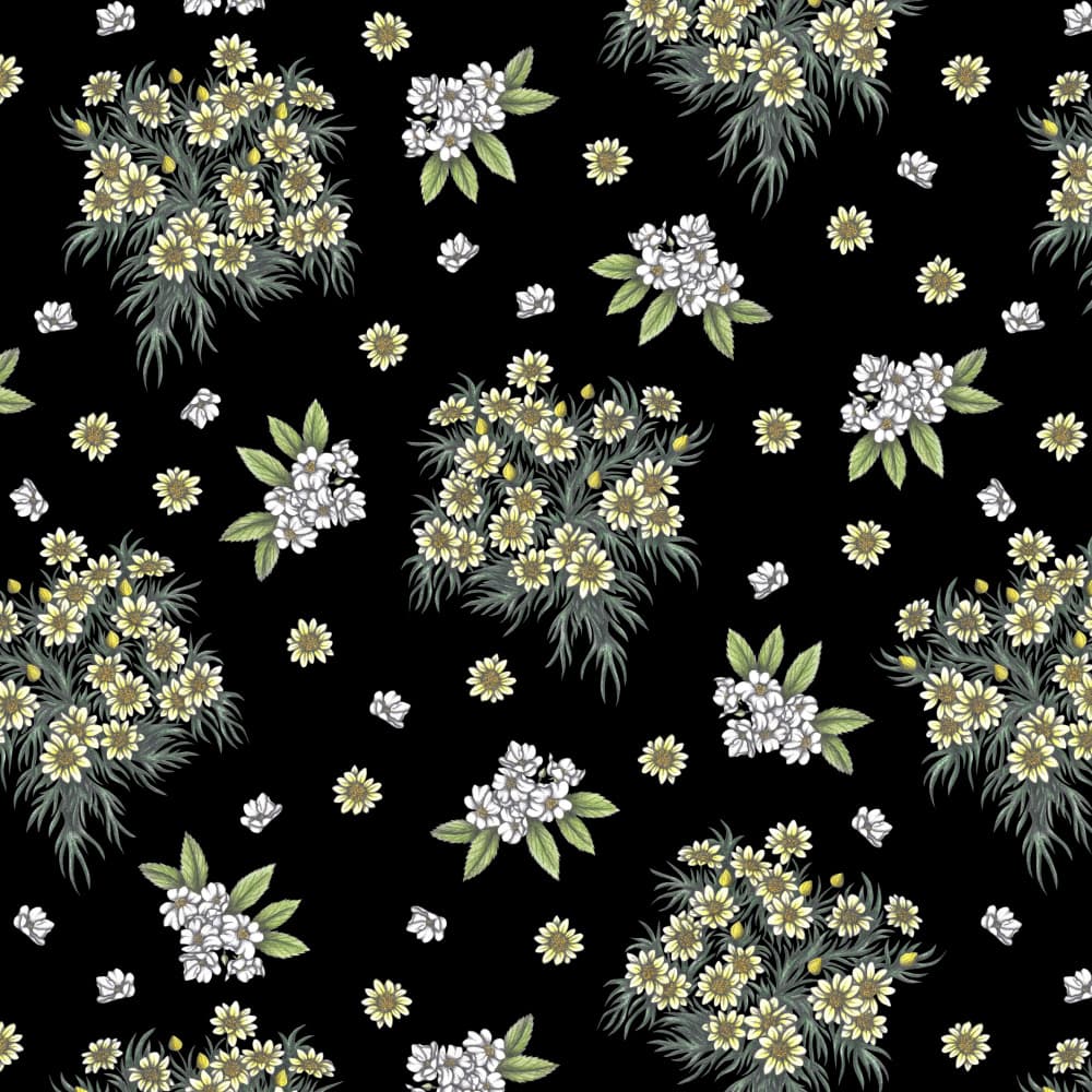Delicate Daisy Clusters by Cecilia Battaini — canvas wall art
