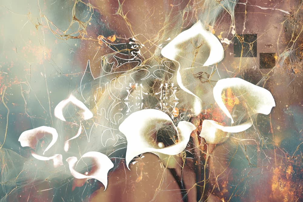 Ethereal Calla Lilies by Rafal Kulik — canvas wall art