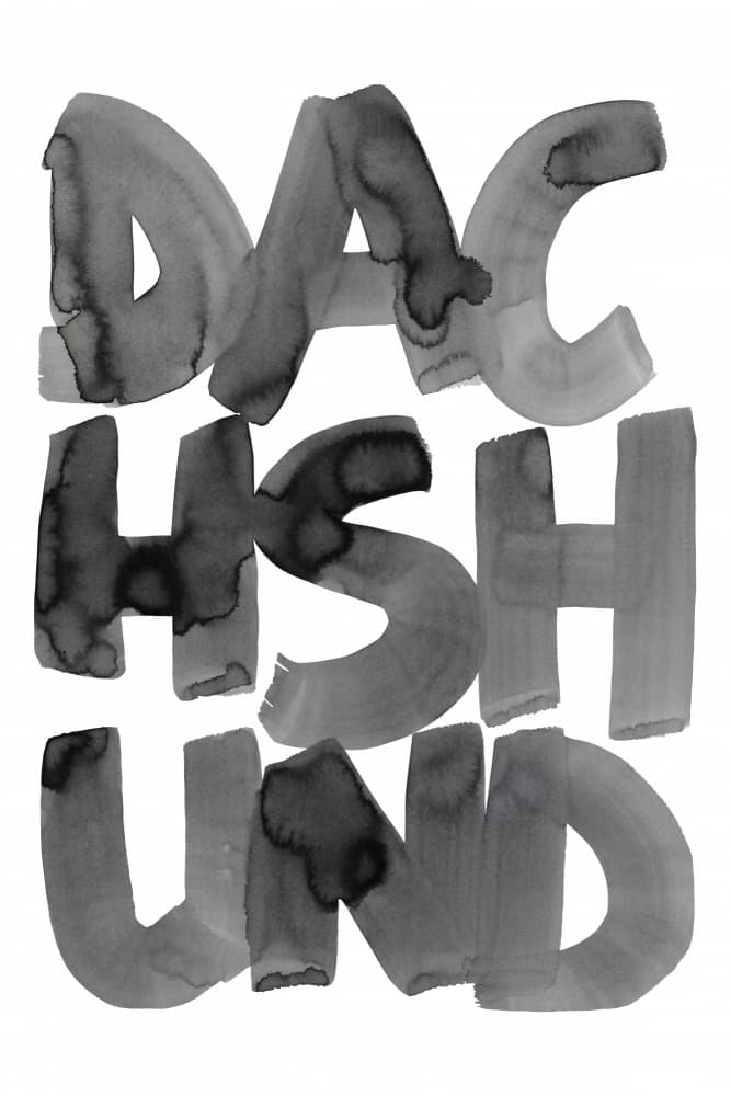 Dachshund Art Typography by cartissi — canvas wall art