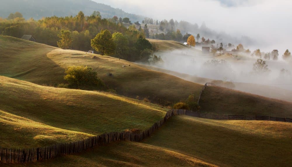 Misty Mountain Morning by Marina Sveduneac — canvas wall art