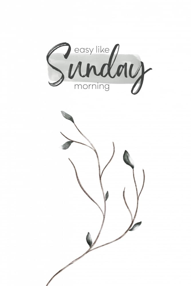 Easy Like Sunday Morning by Melanie Viola — canvas wall art