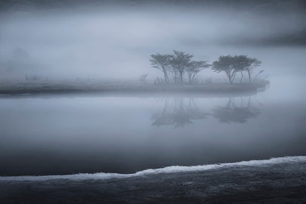 Misty Lake Trees by Shota Nagase — canvas wall art
