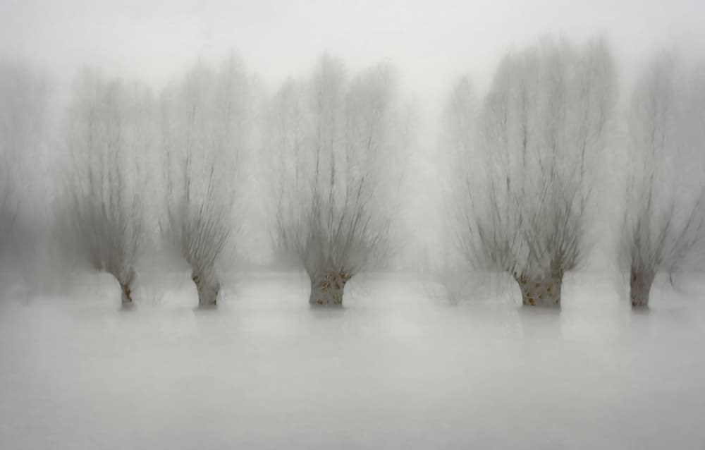 High water by Nel Talen — canvas wall art