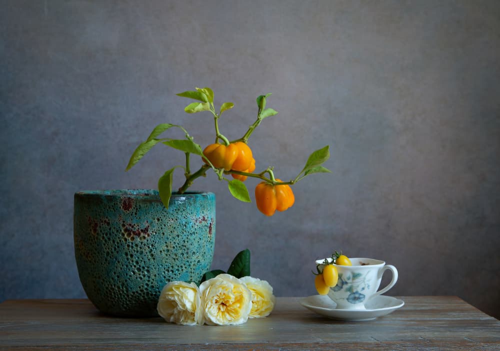 Fresh Peppers and Roses by Fangping Zhou — canvas wall art