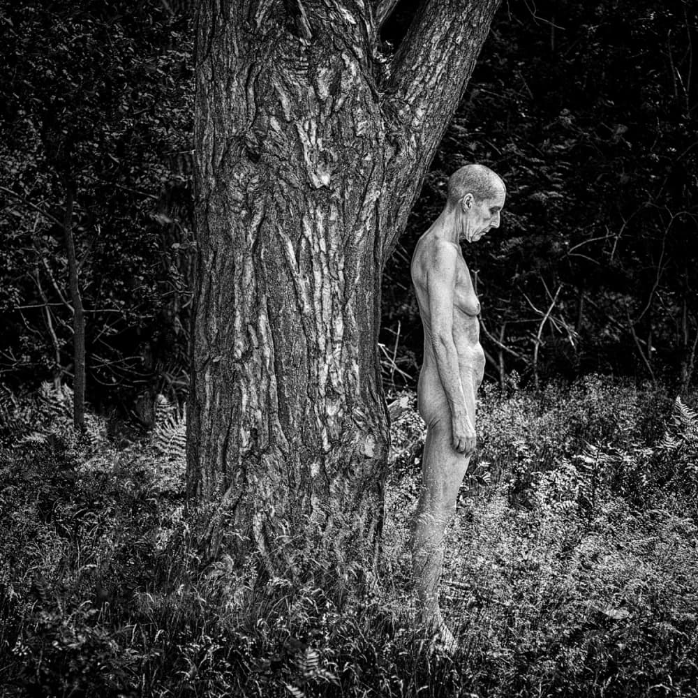 Aged Woman Forest by Ton Dirven — canvas wall art