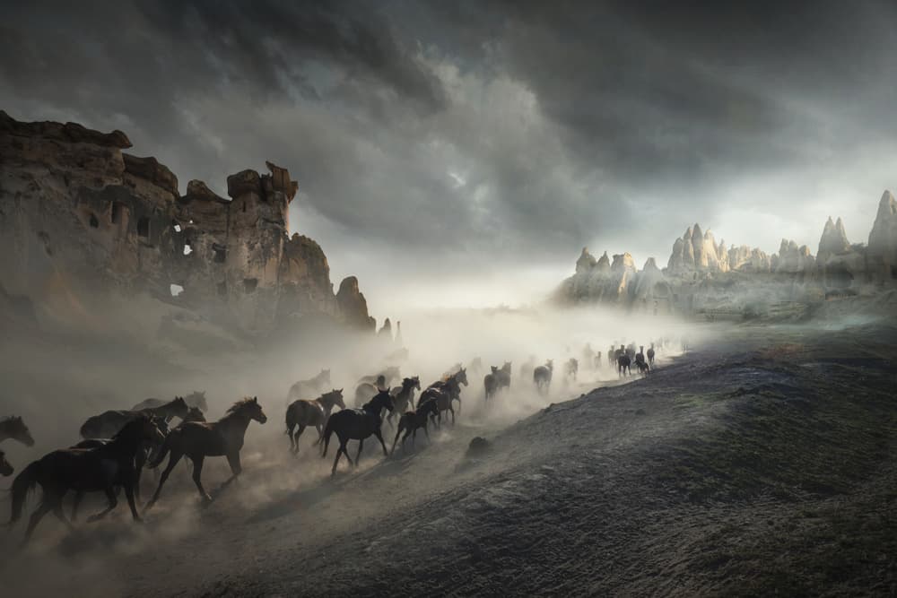 Wild Horses in Mist by Hüseyin Taşkın — canvas wall art