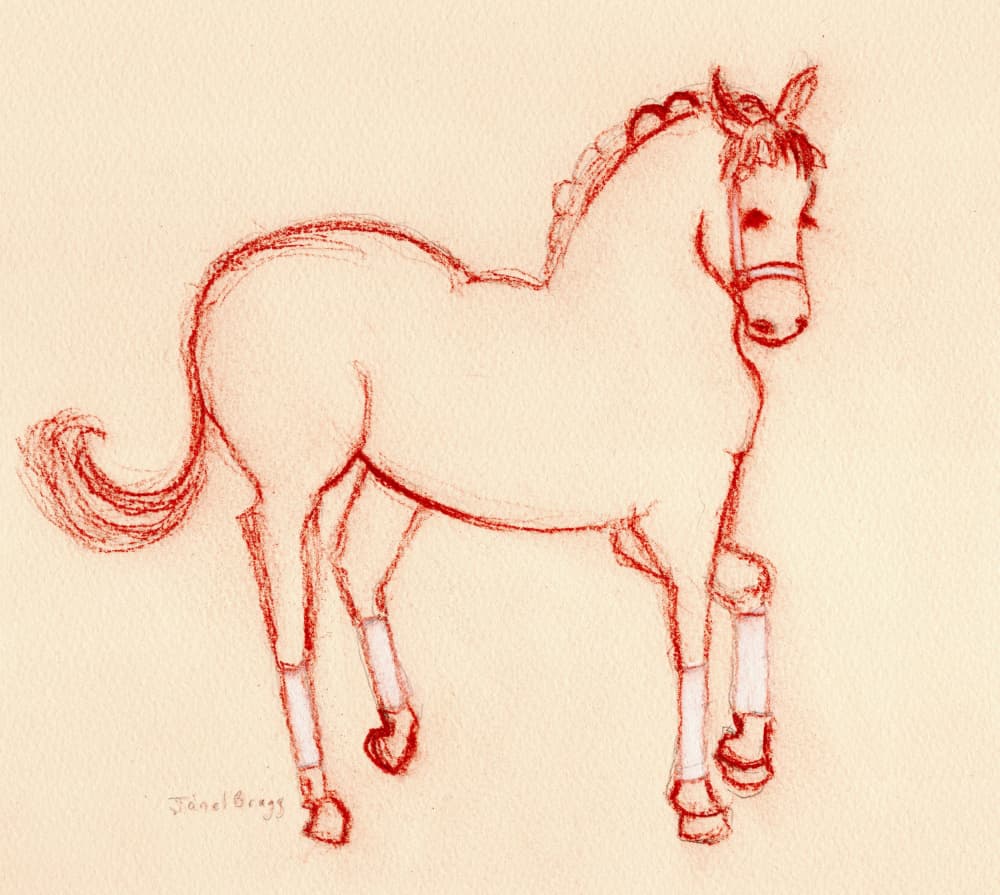 Charming Red Horse Drawing